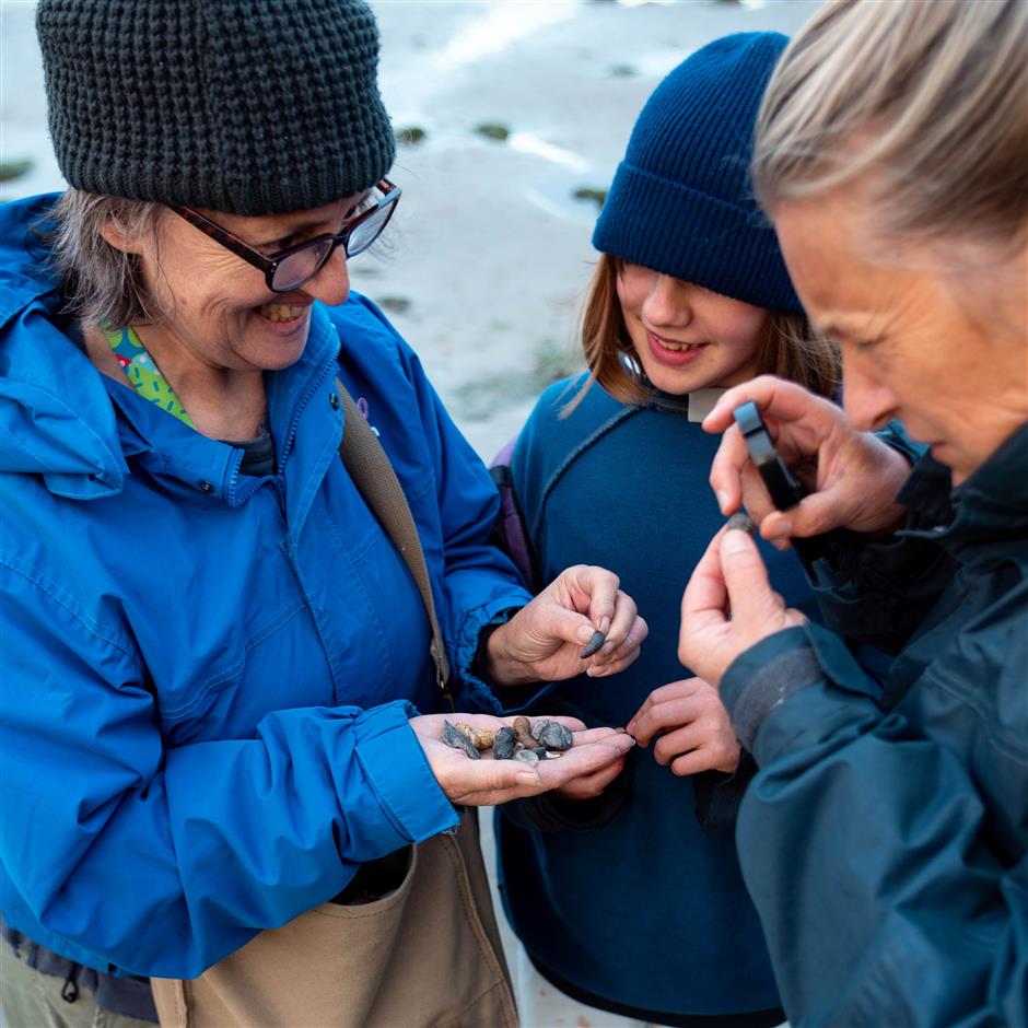 SALT + EARTH: Fantastic Fossil Foray