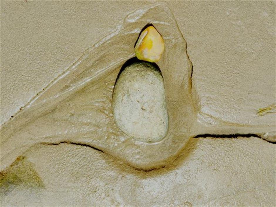 SALT + EARTH Festival: Rubiane Maia - Magical Curves