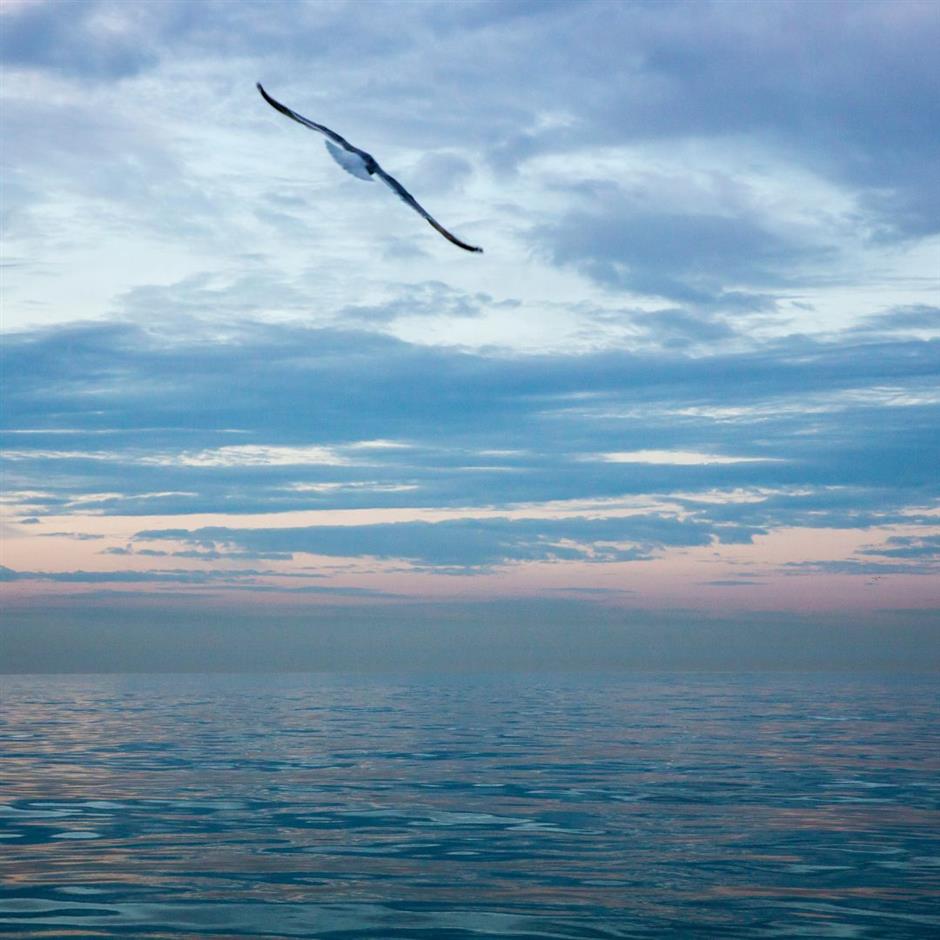 SALT + EARTH: Seawater Photo Emulsions